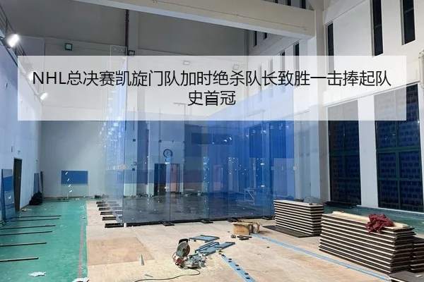 NHL总决赛凯旋门队加时绝杀队长致胜一击捧起队史首冠